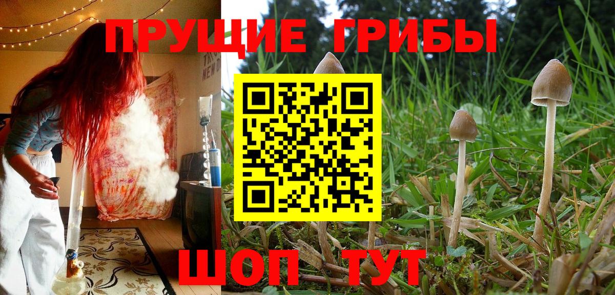 Галлюциногенные грибы мухоморы  Псилоцибиновые грибы Psilocybe  Вход с VPN  Соликамск 