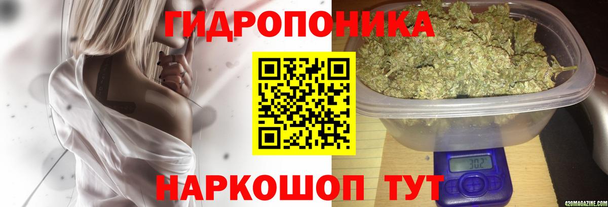 Канабис Amnesia  Канабис MAZAR  Соликамск  Вход с VPN  Марихуана White Widow 